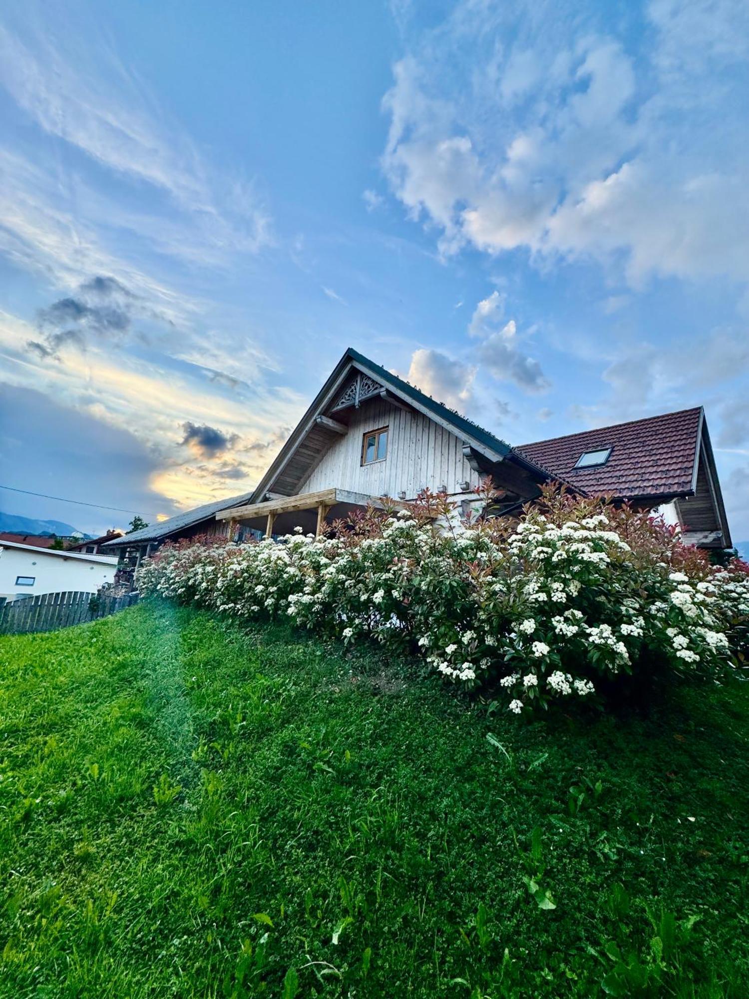 Vila Milan Bled Exteriör bild